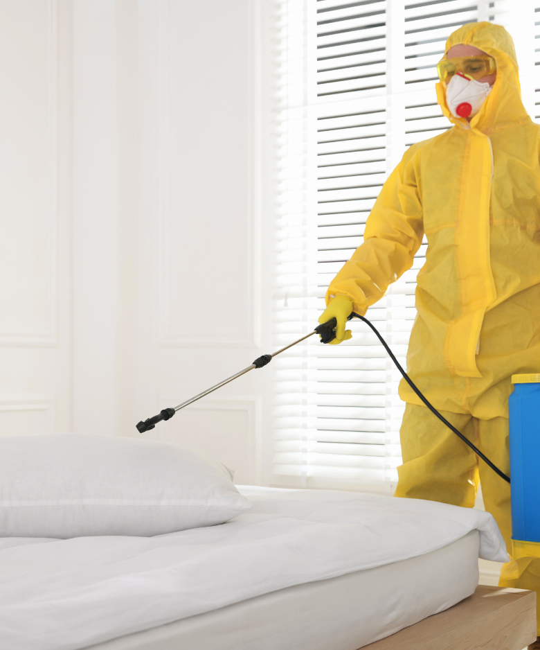 Professional Pest Control Team in Fulham Gardens